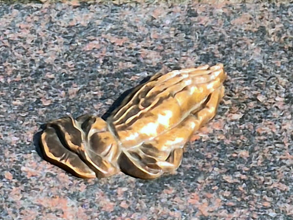 Bronze Betende Hände